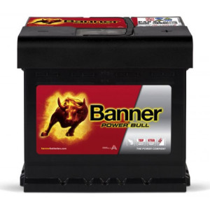 Авто акумулятор Banner 50Ah 450A Power Bull P5003