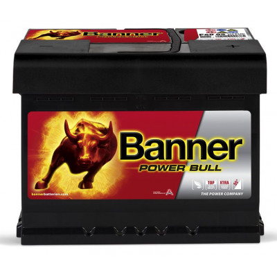 Авто аккумулятор Banner 60Ah 540A Power Bull P6009