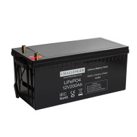 Литиевый аккумулятор Challenger 12V 200Ah LFP12-200