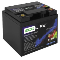 Літієвий акумулятор EcoLife 12V 50Ah LiFePO4