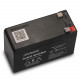 AGM аккумулятор EverExceed 12V 9,5Ah AM12-9,5 AINO MICRO