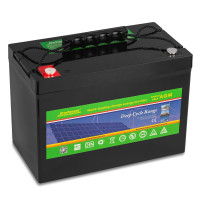 AGM аккумулятор EverExceed 12V 100Ah DP12-100