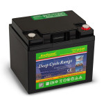 AGM аккумулятор EverExceed 12V 50Ah DP12-50