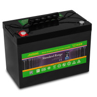 AGM аккумулятор EverExceed 12V 100Ah ST12-100 Standard Range