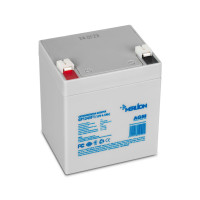 AGM аккумулятор Merlion 12V 4,5Ah GP1245F1