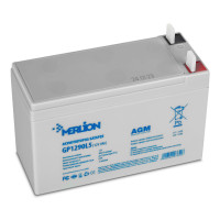 AGM аккумулятор Merlion 12V 9Ah GP1290L5