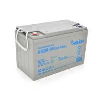 Тяговый аккумулятор Merlion 12V 100Ah 6-DZM-100