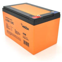 Тяговый аккумулятор Merlion 12V 12Ah 6-DZM-12M5