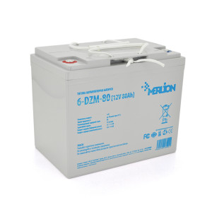Тяговый аккумулятор Merlion 12V 80Ah 6-DZM-80