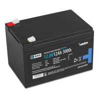 Литиевый аккумулятор Merlion 12V 12Ah LFP12.8-12EB