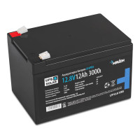 Литиевый аккумулятор Merlion 12V 12Ah LFP12.8-12US