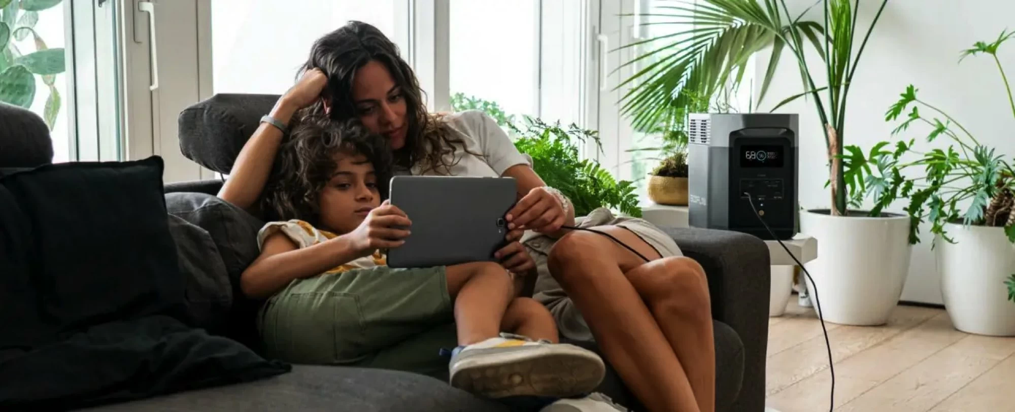 Зарядная станция EcoFlow Delta 2 купить в Киеве