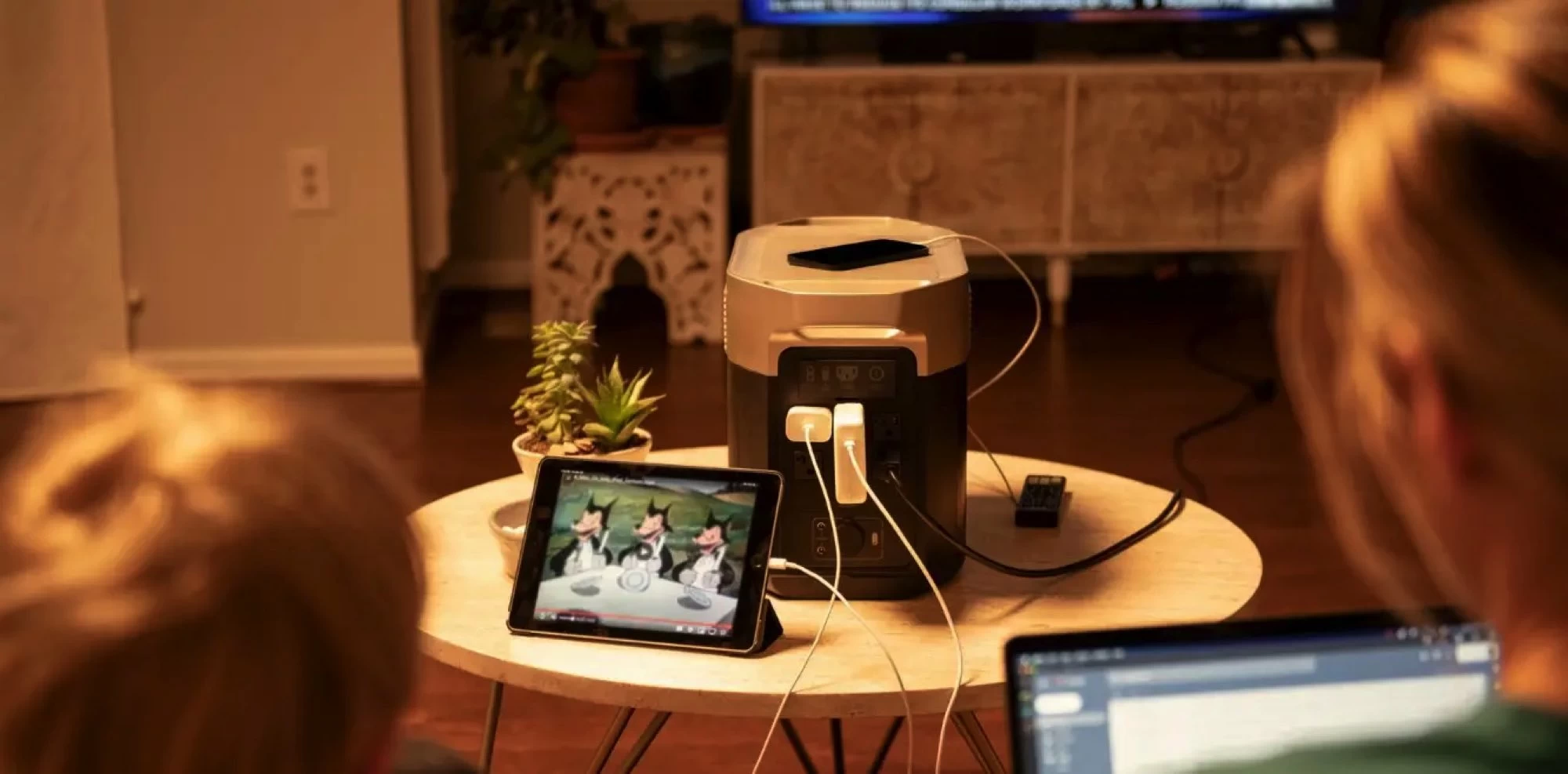 Зарядная станция EcoFlow Delta Max 1600 купить в Киеве